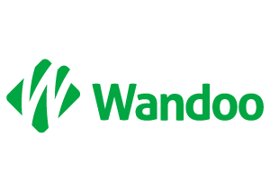 Wandoo: pożyczki – opinie, informacje, recenzja